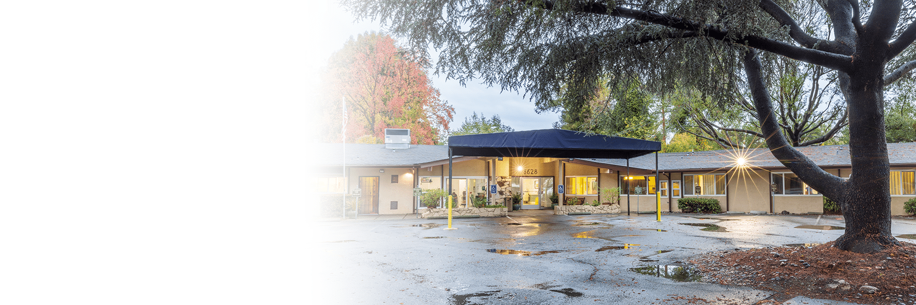 Hayward Gardens outside view