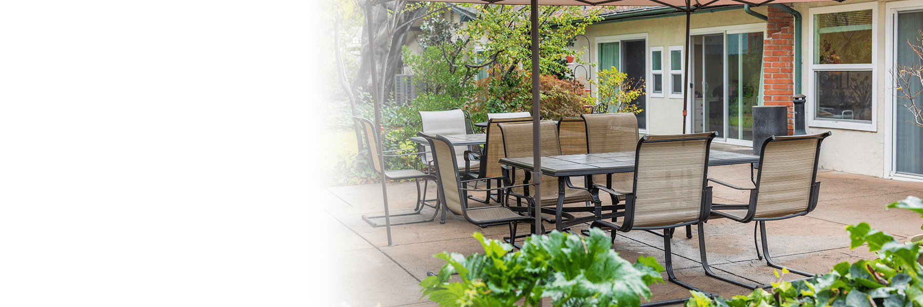 outside patio with shaded tables and plants